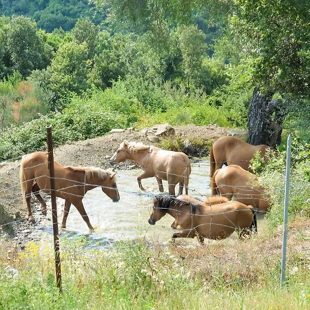 Paradiso Selvaggio-2 By Interhome Vakantiehuis